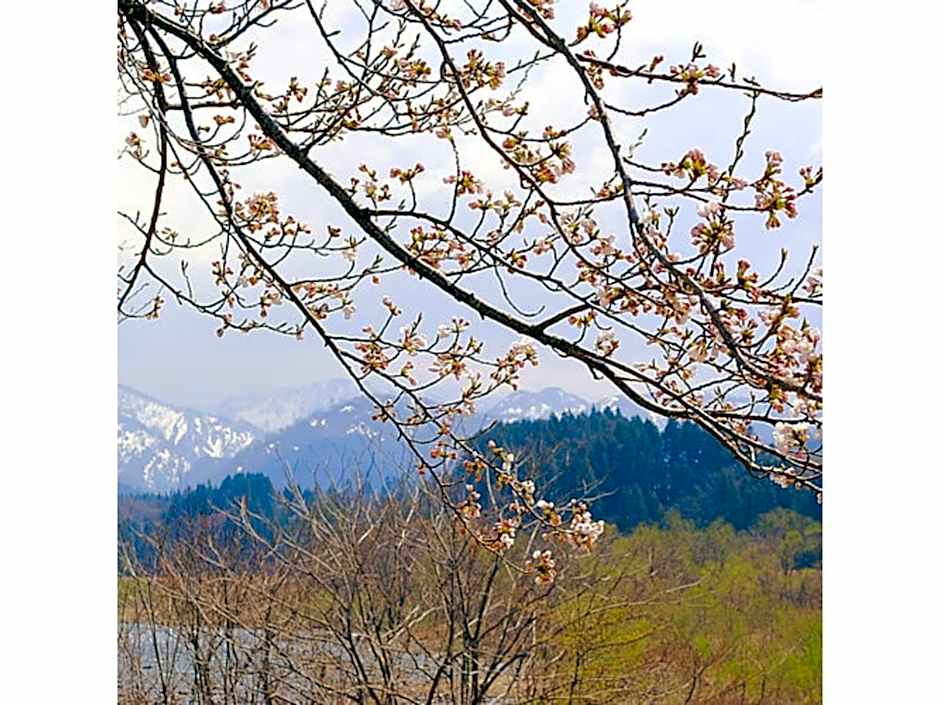 Shintainai Onsen Royal Tainai Park Hotel - Vacation STAY 93680v