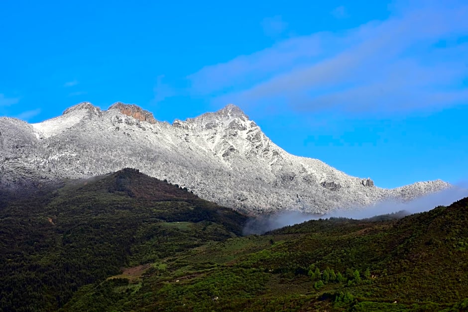 Banyan Tree Jiuzhaigou