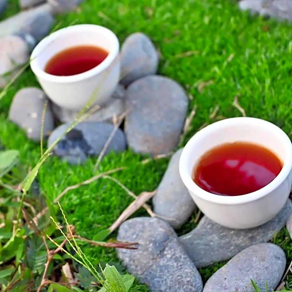 Shanti Wellness Sanctuary