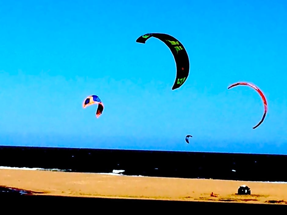 La Viuda de José Ignacio