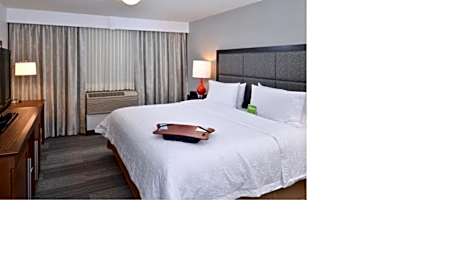 1 King Bed 1Bdrm Suite W/ Kitchen Nonsmoking
