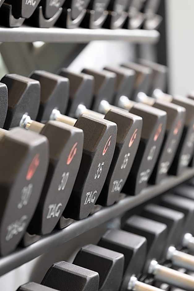 Hampton Inn & Suites Rochester Downtown