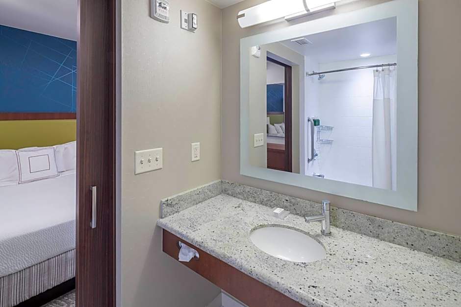 SpringHill Suites by Marriott Alexandria Old Town/Southwest