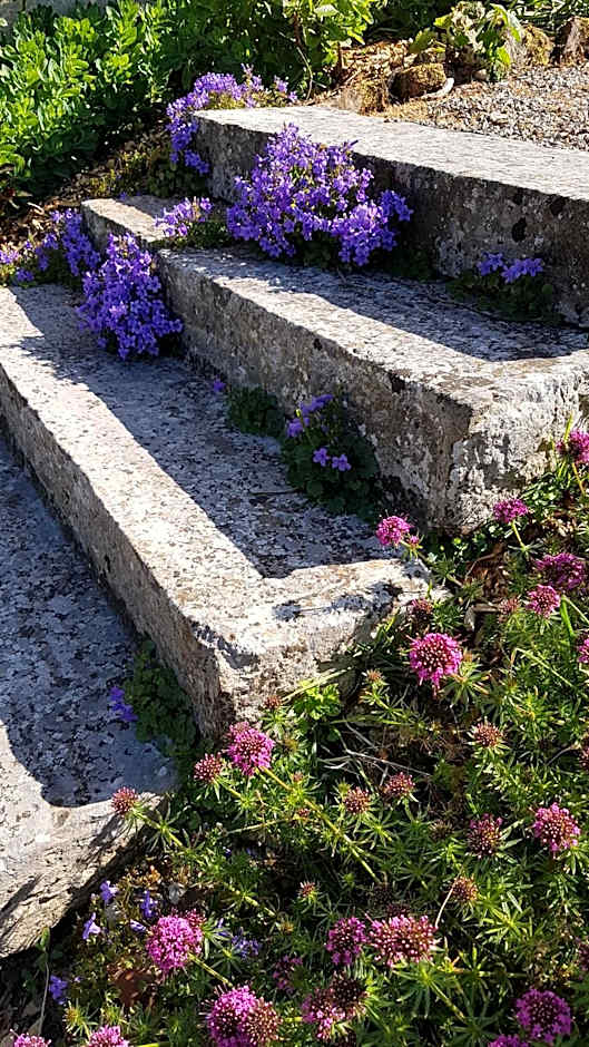 B&B au petit tambour d'Autingues