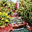 Baldi Hot Springs Hotel & Spa