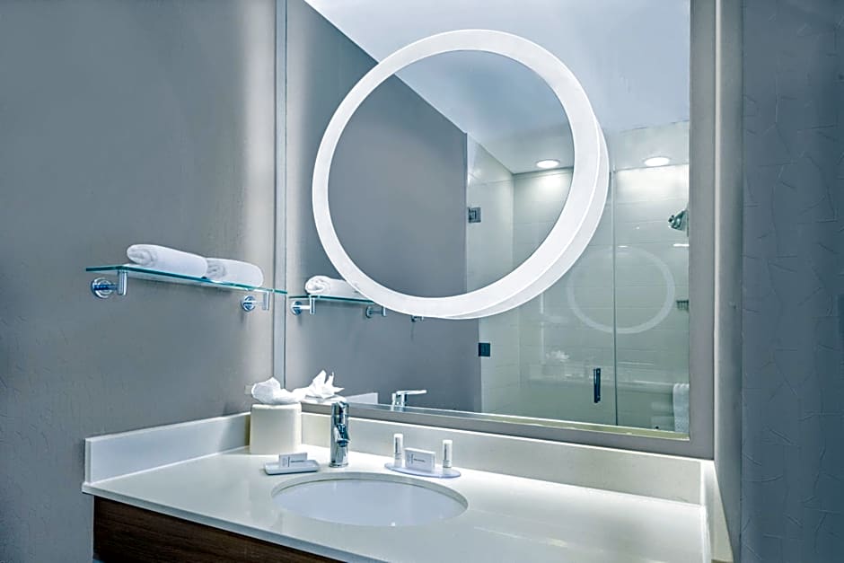 SpringHill Suites by Marriott San Antonio SeaWorld/Lackland