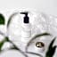 Willard InterContinental Washington By IHG