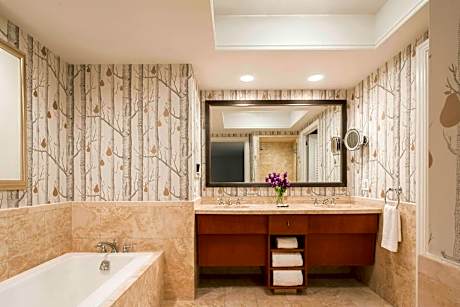 Park View Suite, Club Lounge Access, 1 Bedroom Larger Suite, 1 King, Sofa Bed