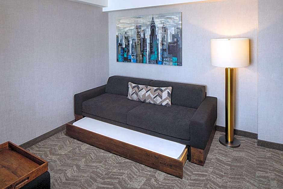SpringHill Suites by Marriott New York Queens/Jamaica