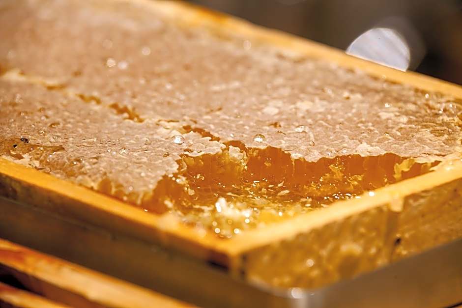 Hotel-Restaurant Grimmingblick