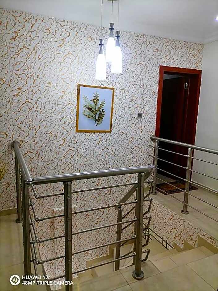 COZY SUITES