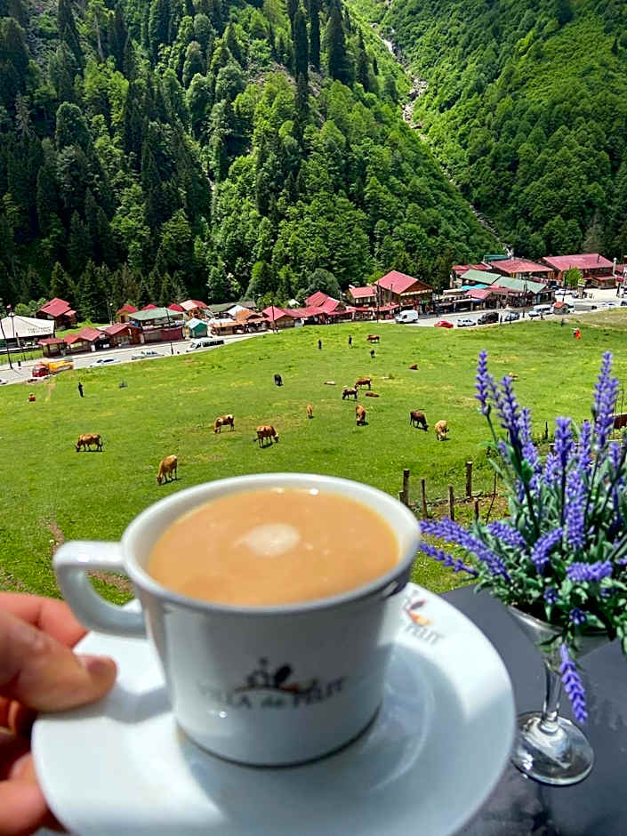 Ayder Villa de Pelit Hotel