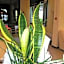 Hotel K2 Cervia 3 stelle sup