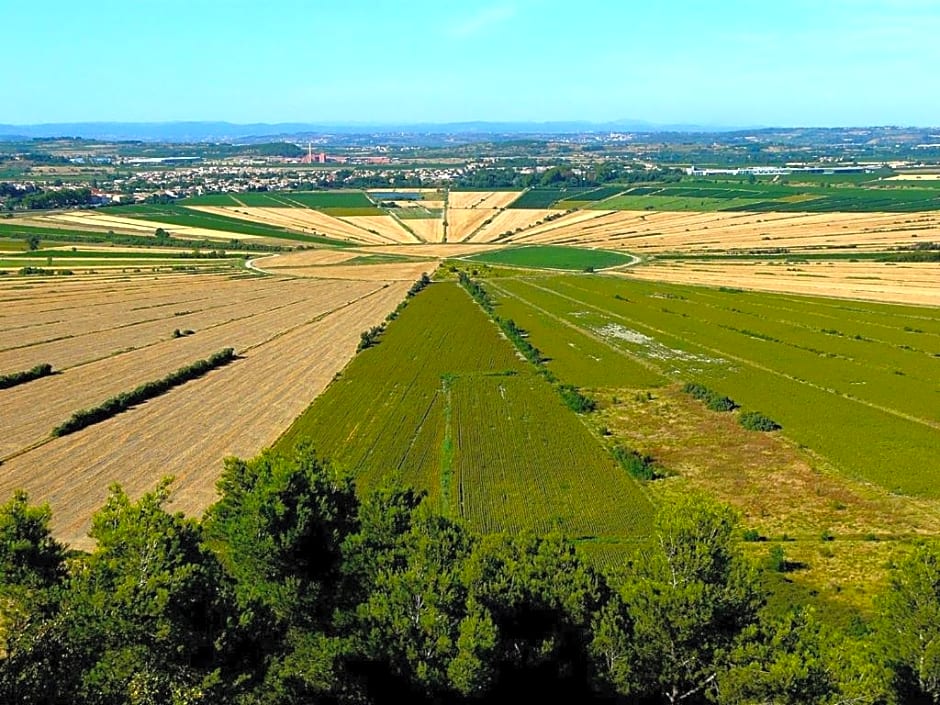 La Marsanne