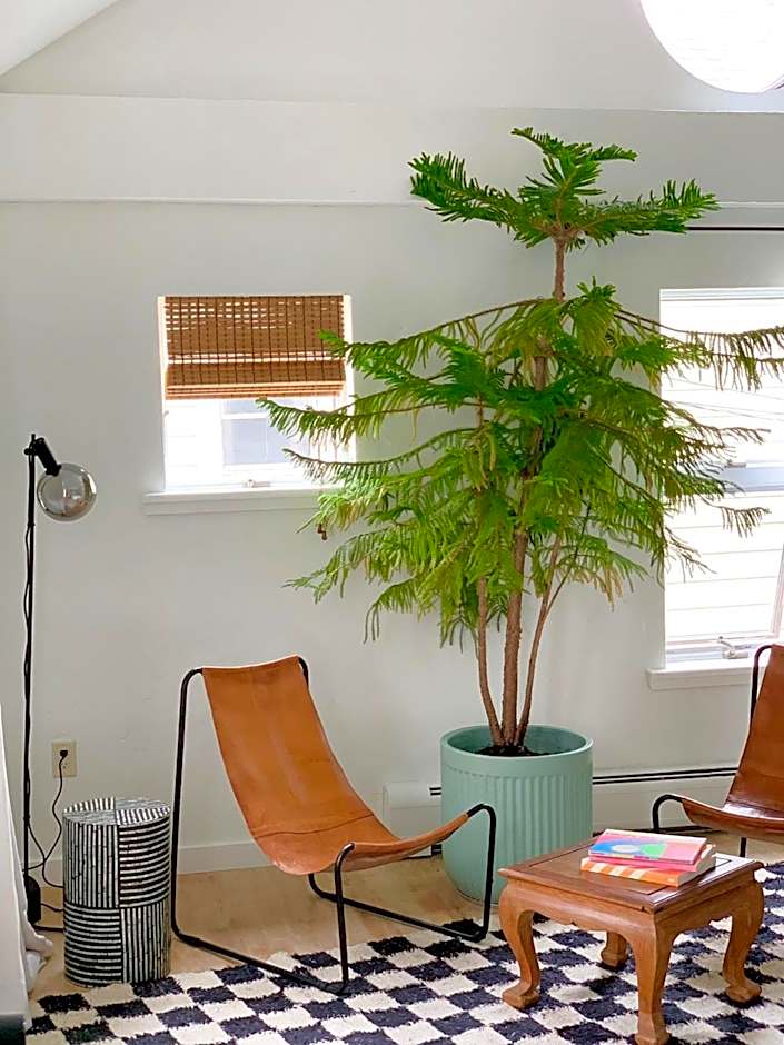 The Trail in Adams - Berkshires' Art Hotel