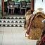 Hotel El Rebozo