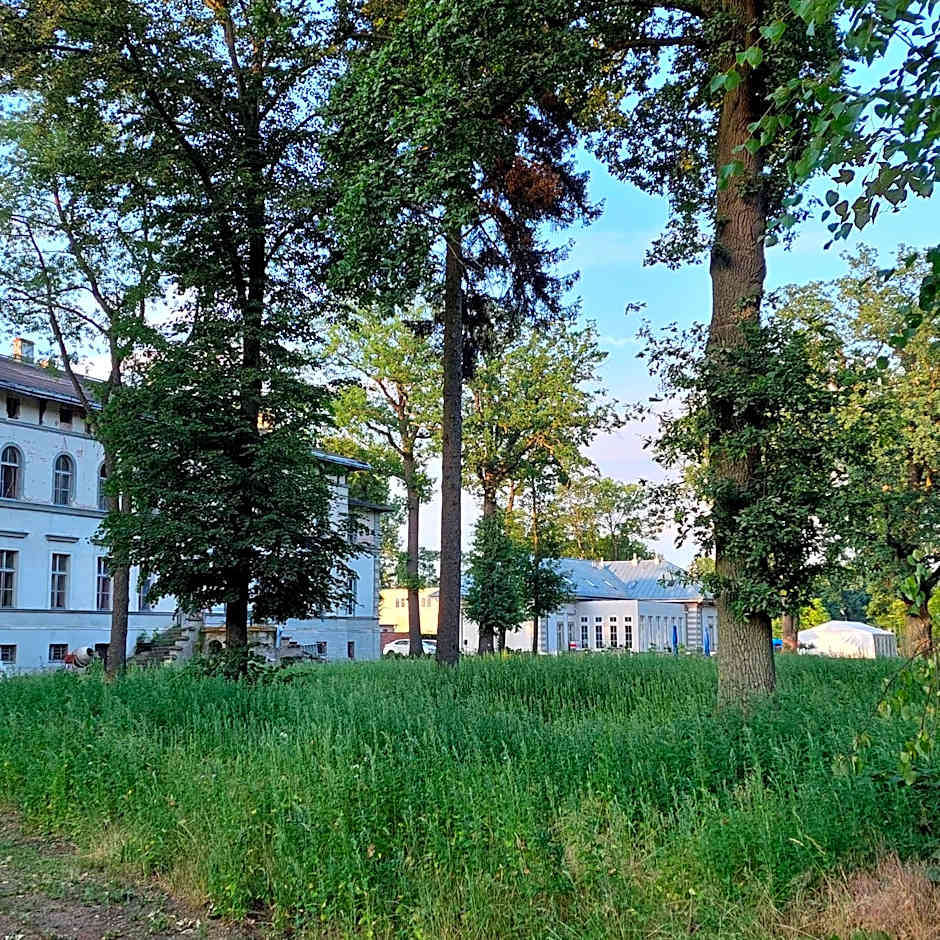 PALAC DABROWKA