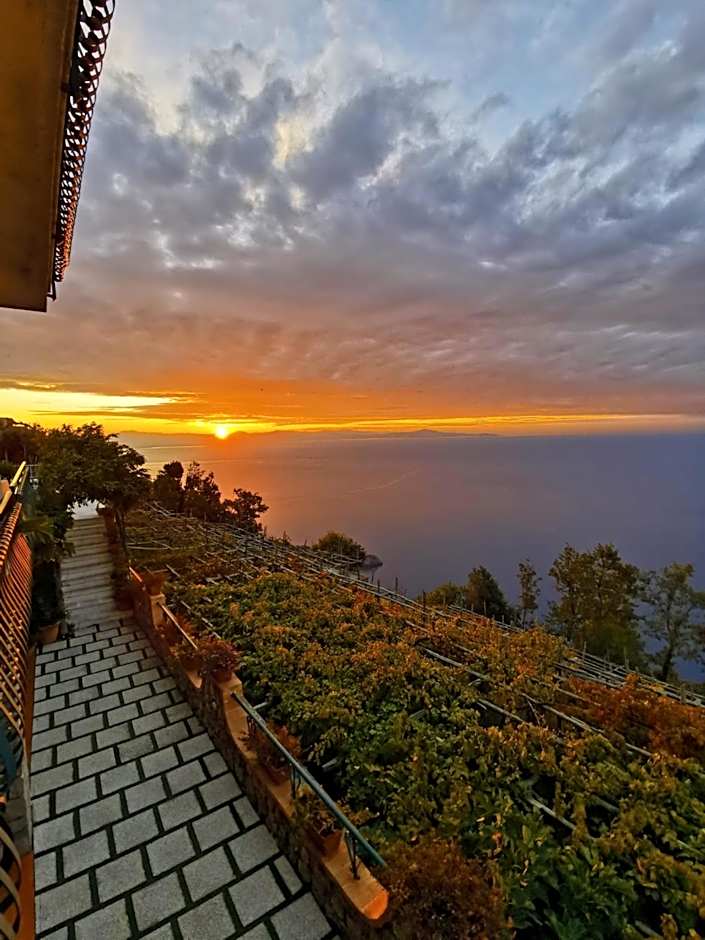 Residence Eden