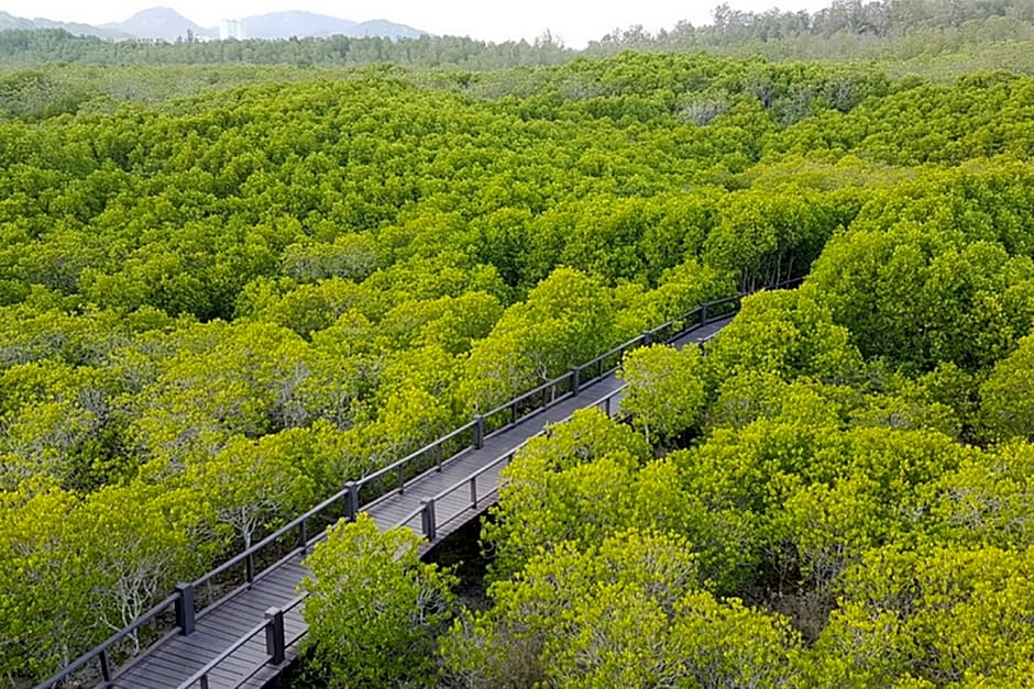 OYO 650 At Night Pranburi