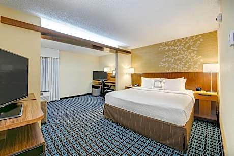 Suite, 1 King Bed with Sofa bed (1 King Bed and 1 Double Sofa Bed)