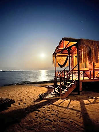 Sayal camp new