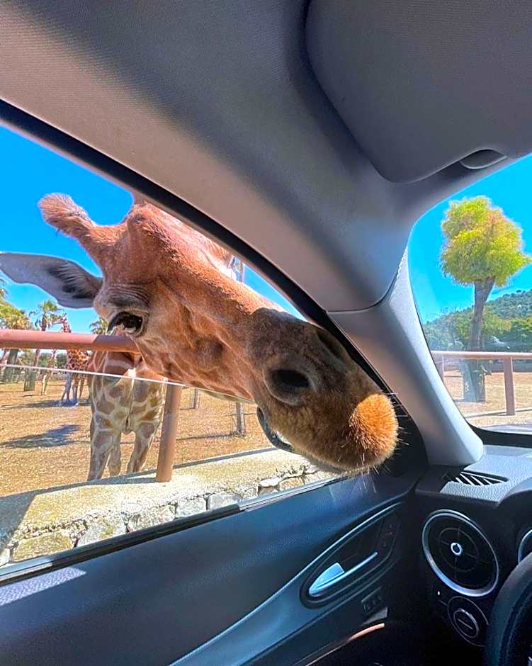 Palazzo De Luca by Apulia Hospitality