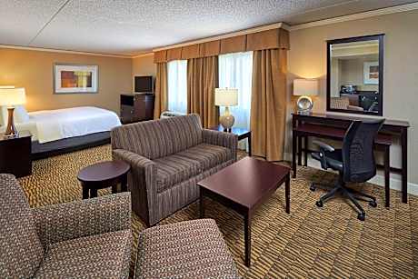 1 King Bed Junior Suite Non-Smoking