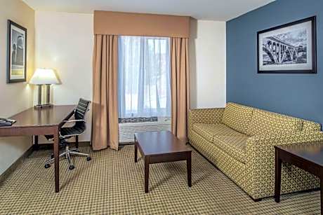 1 King Bed, Deluxe Room, Non-Smoking