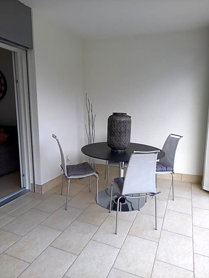 Studios & Appartements famille - Saillon Evasion