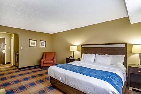 1 King Bed, Nonsmoking, Accessible