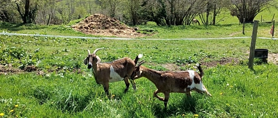 La Ferme de Sapharey