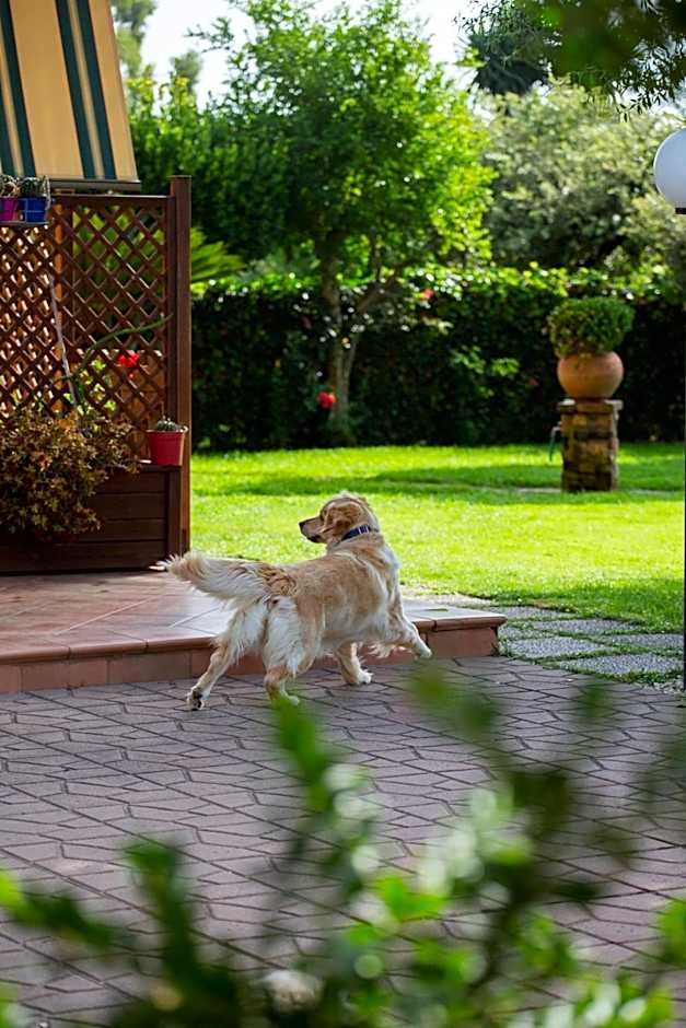I Lecci Guesthouse