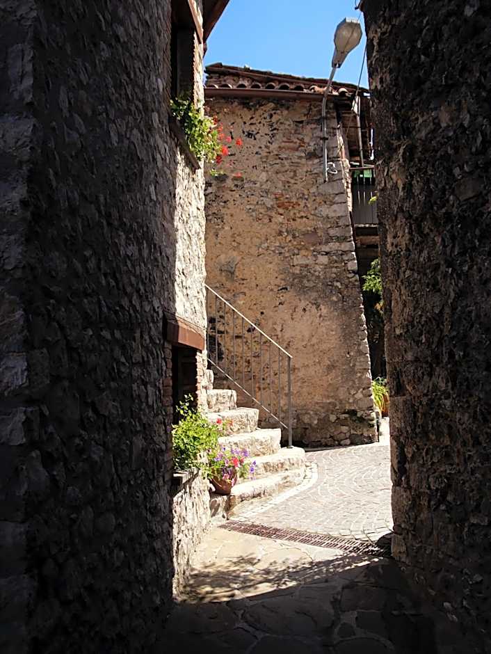 B&B Leofreni Natura