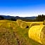 Genusshotel Hirschen - Erholung im Grünen (Südschwarzwald)