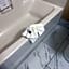 Baymont by Wyndham Plainfield/ Indianapolis Arpt Area