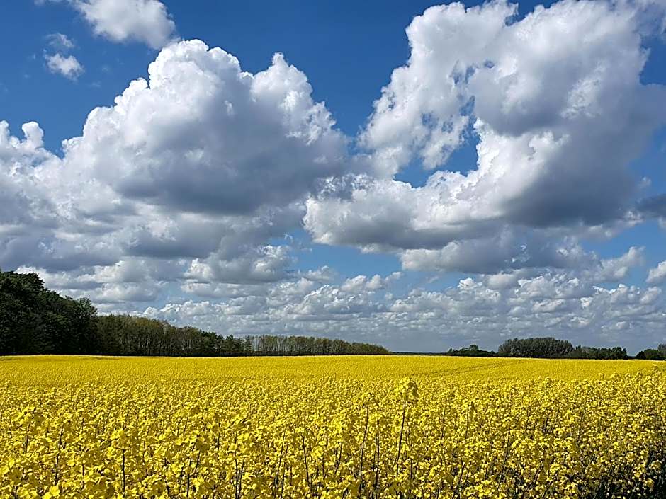 Peanuts Hostel & Meer