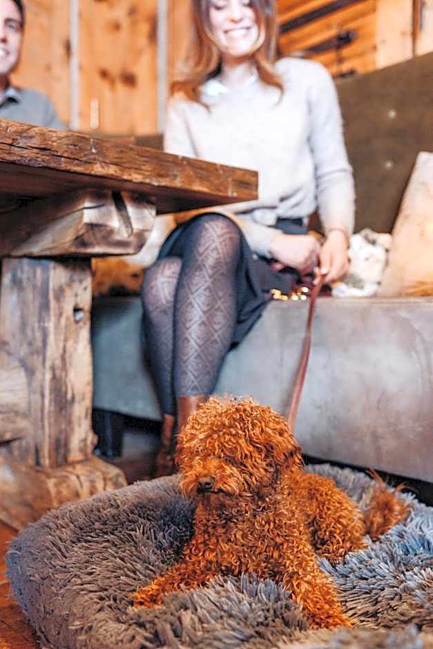 Hotel zur Dorfschmiede