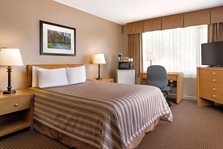 Deluxe One-Bedroom Suite with 1 Queen Bed, Non-Smoking