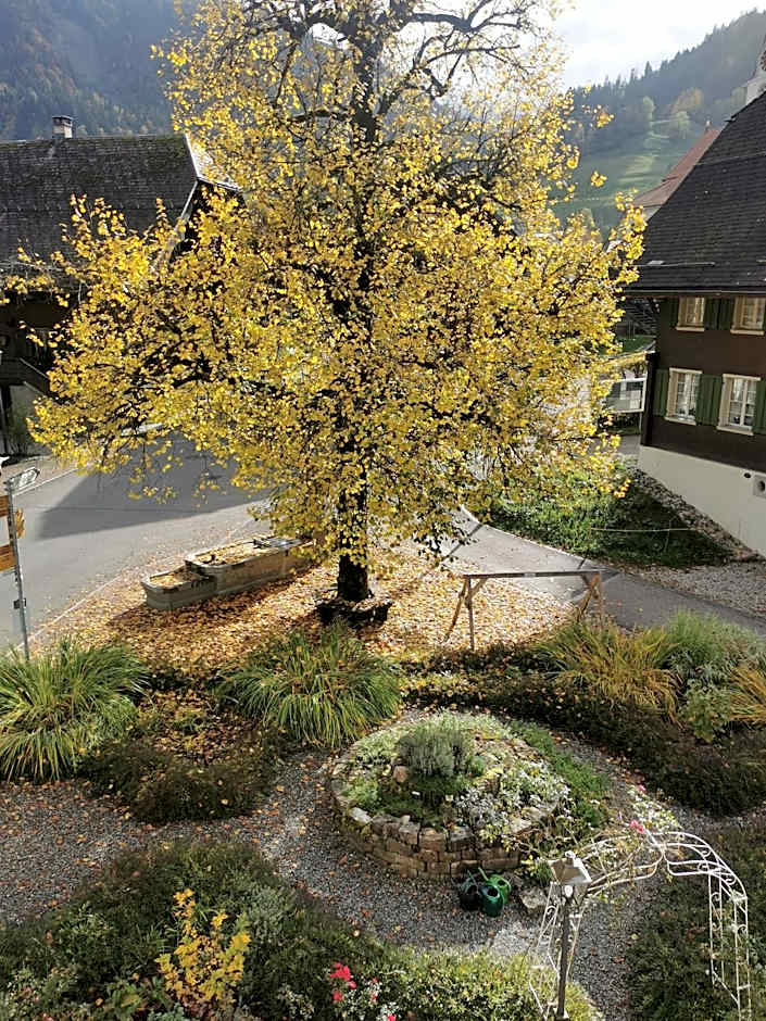 Gasthof Kreuz Marbach