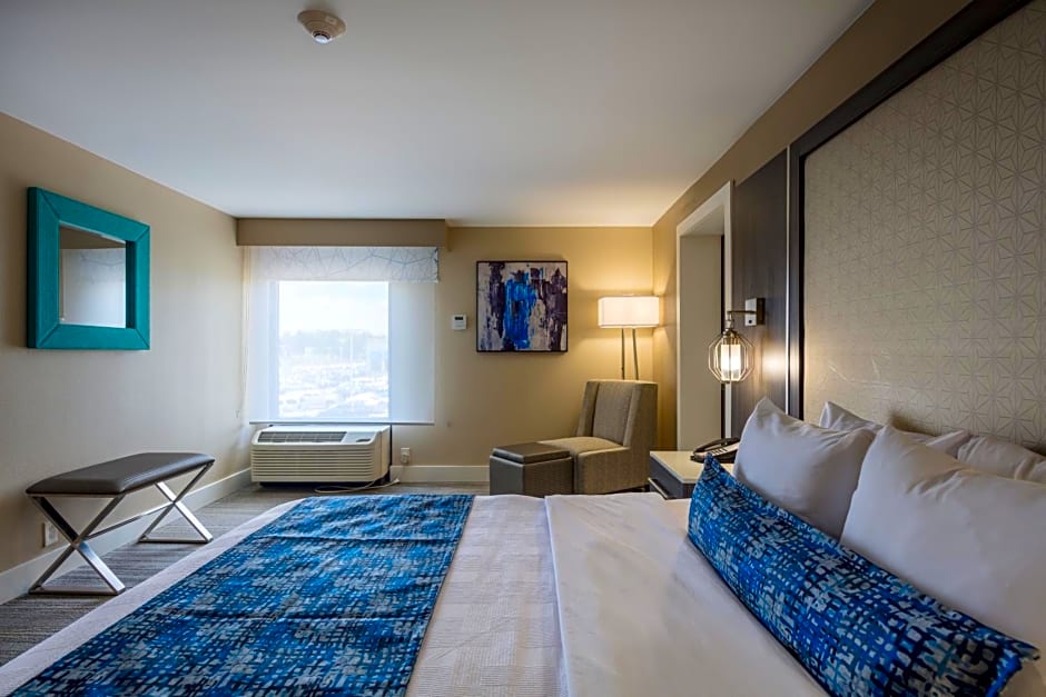 Best Western Plus Greenville I-385 Inn & Suites