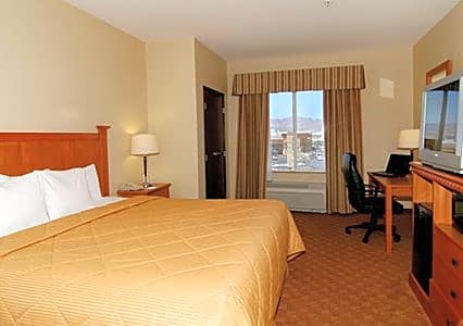 Comfort Inn and Suites - Craig Road
