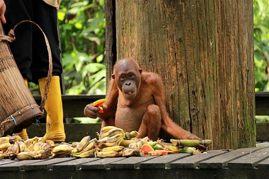 Four Points By Sheraton Sandakan