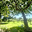 Domaine Au Coeur des Alpilles