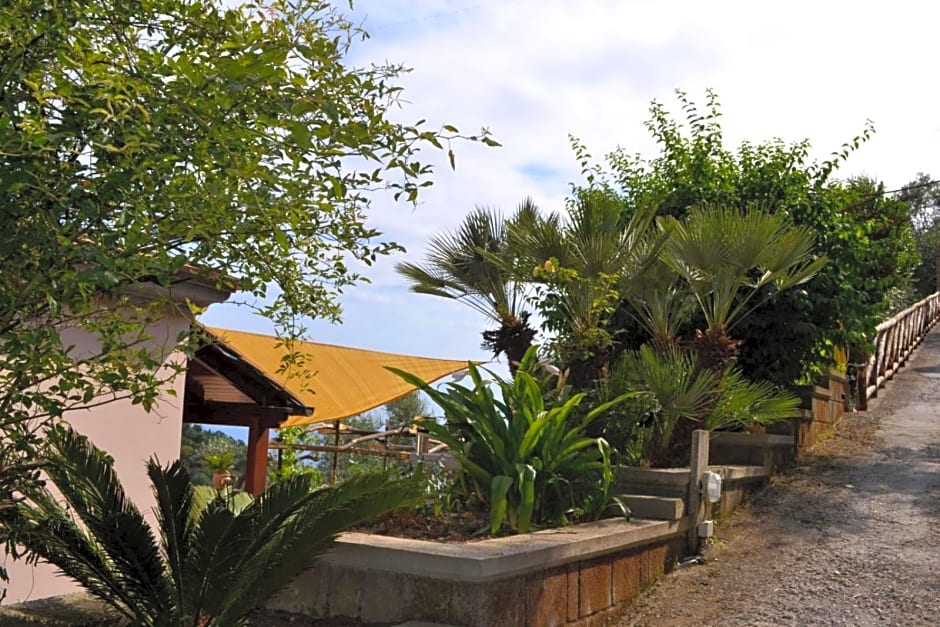 Domus Ars Home & Spa