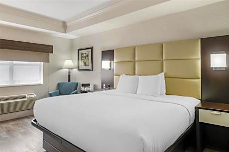 King Room with Walk-in Shower - Disability Access