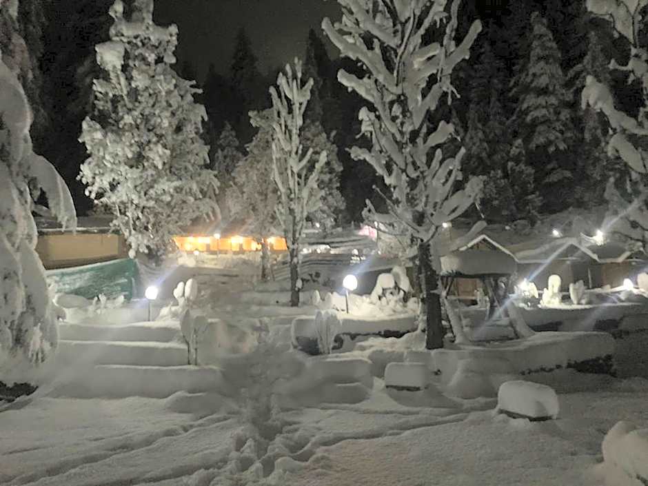 Mashobra Greens Shimla