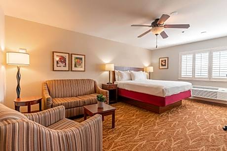 King Studio with Sofa Bed and Microwave Oven