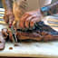 Locanda Agrogallo