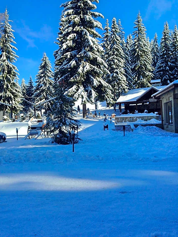 Romantica Forest Guest House