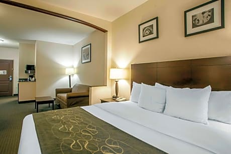 1 Bedroom King Suite